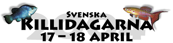 SvenskeKillidage20048.jpg